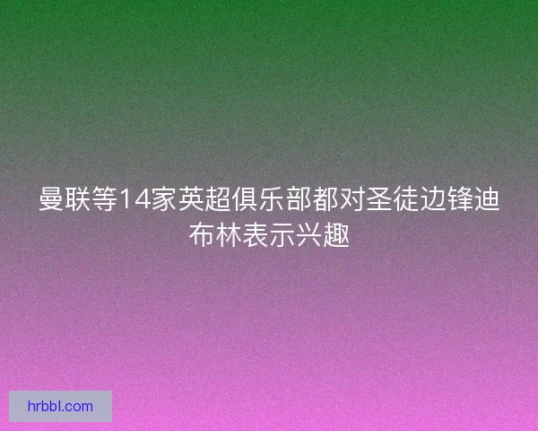 曼联等14家英超俱乐部都对圣徒边锋迪布林表示兴趣